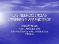 LAS NEUROCIENCIAS CEREBRO Y APRENDIZAJE PowerPoint PPT Presentation