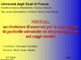 NEUCAL: un rivelatore di neutroni per la separazione di particelle adroniche ed elettromagnetiche nei raggi cosmici PowerPoint PPT Presentation