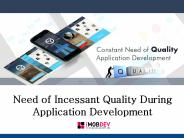 Need of constant quality during Application Development