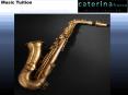 Saxophone Lessons Sutherland Shire PowerPoint PPT Presentation