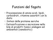 Funzioni del fegato
