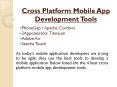 Cross Platform Mobile App Development Tools PowerPoint PPT Presentation