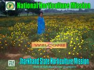 National Horticulture Mission