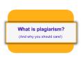 What is plagiarism? PowerPoint PPT Presentation