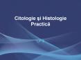 Citologie si Histologie Practica PowerPoint PPT Presentation