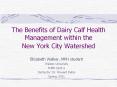 The Benefits of Dairy Calf Health Management within the New York City Watershed PowerPoint PPT Presentation