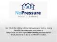 No Pressure Roof Cleaning in South Florida PowerPoint PPT Presentation