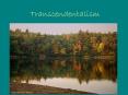 Transcendentalism PowerPoint PPT Presentation