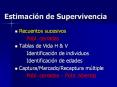 Estimaci PowerPoint PPT Presentation