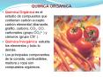 QUIMICA ORGANICA PowerPoint PPT Presentation
