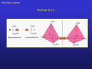 Formas D y L