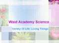 Waid Academy Science PowerPoint PPT Presentation