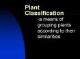 Plant Classification PowerPoint PPT Presentation