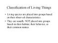 Classification of Living Things PowerPoint PPT Presentation