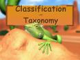 Classification and Taxonomy PowerPoint PPT Presentation