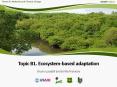 Ecosystem-based adaptation (EBA) PowerPoint PPT Presentation