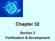 Fertilization