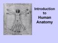Introduction to Human Anatomy PowerPoint PPT Presentation