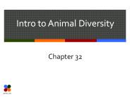 Intro to Animal Diversity
