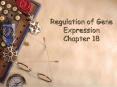 Regulation of Gene Expression Chapter 18 PowerPoint PPT Presentation