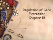 Regulation of Gene Expression Chapter 18