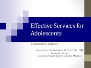 Effective Services for Adolescents