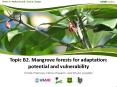 Climate change in mangrove socio-ecological systems PowerPoint PPT Presentation