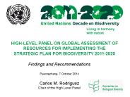 CBD High-Level Panel on Resource Assessment