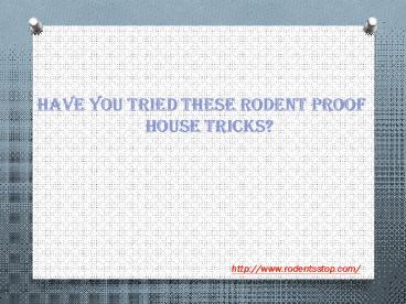 Have you tried these rodent proof house tricks?