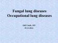 Fungal lung diseases Occupational lung diseases PowerPoint PPT Presentation