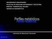 Diapositiva 1