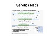 Genetics Maps
