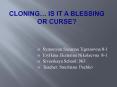 CLONING PowerPoint PPT Presentation