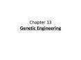 Chapter 13 Genetic Engineering PowerPoint PPT Presentation