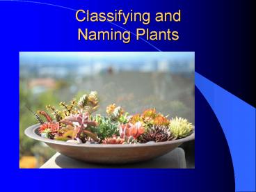 Classifying and Naming Plants