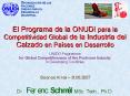 El Programa de la ONUDI para la Competitividad Global de la Industria del Calzado en Pa PowerPoint PPT Presentation