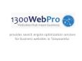 1300 Web Pro – provides search engine optimization services for business websites in Toowoomba (1) PowerPoint PPT Presentation