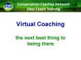 Virtual Coaching the next best thing to being there PowerPoint PPT Presentation