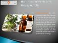 Hair Care With Organic Rosemary Oil PowerPoint PPT Presentation