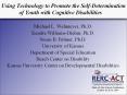 Using Technology to Promote the Self-Determination of Youth with Cognitive Disabilities PowerPoint PPT Presentation