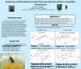 Exploring mathematical models that simulate facultative mutualistic interactions PowerPoint PPT Presentation