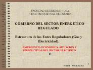 GOBIERNO DEL SECTOR ENERG
