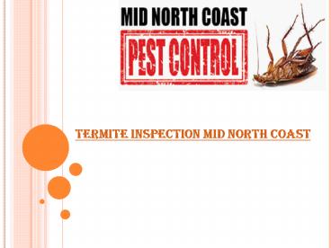 Termite inspection mid north coast