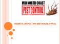 Termite inspection mid north coast PowerPoint PPT Presentation