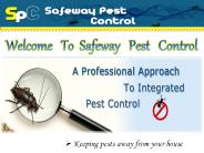 Safeway Pest Control - Pest Control Cairns