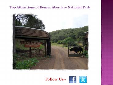 Kenya Aberdare National Park