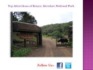 Kenya Aberdare National Park