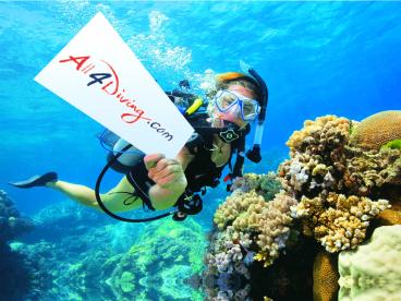 Similan Islands Liveaboard