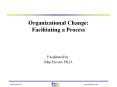 Organizational Change: Facilitating a Process PowerPoint PPT Presentation
