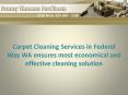 Carpet Cleaning Services in Federal Way WA ensures most economical and effective cleaning solution PowerPoint PPT Presentation